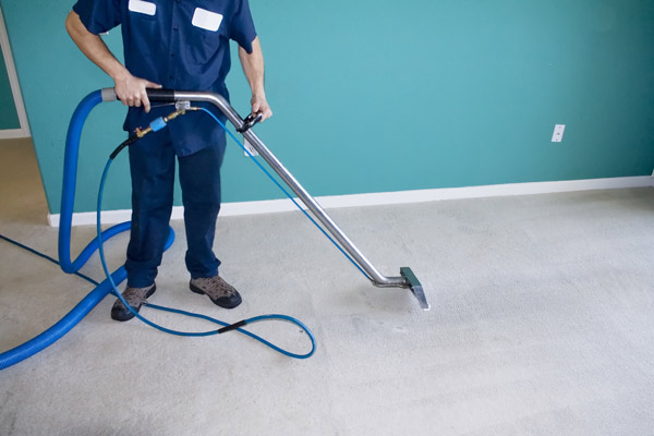 carpet cleaner